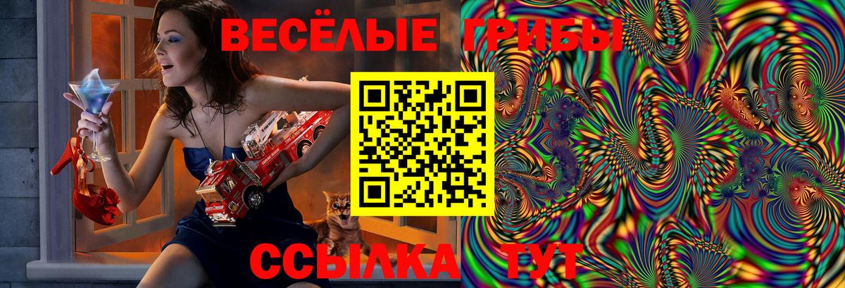 Галлюциногенные грибы Psilocybe  Вход с VPN  Нововоронеж 